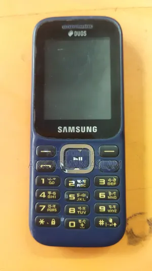 Samsung Guru Music 2 Blue