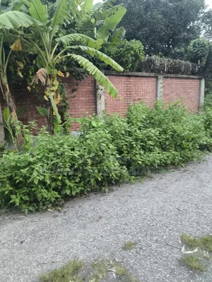 Sector: 23, Exclusive South Face 5 Katha Plot for Sale in Purbachal