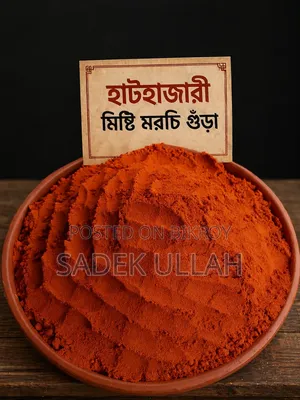 Madina Powder Spice and Organic House