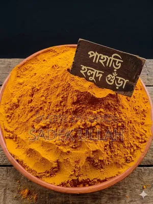 Madina Powder Spice and Organic House