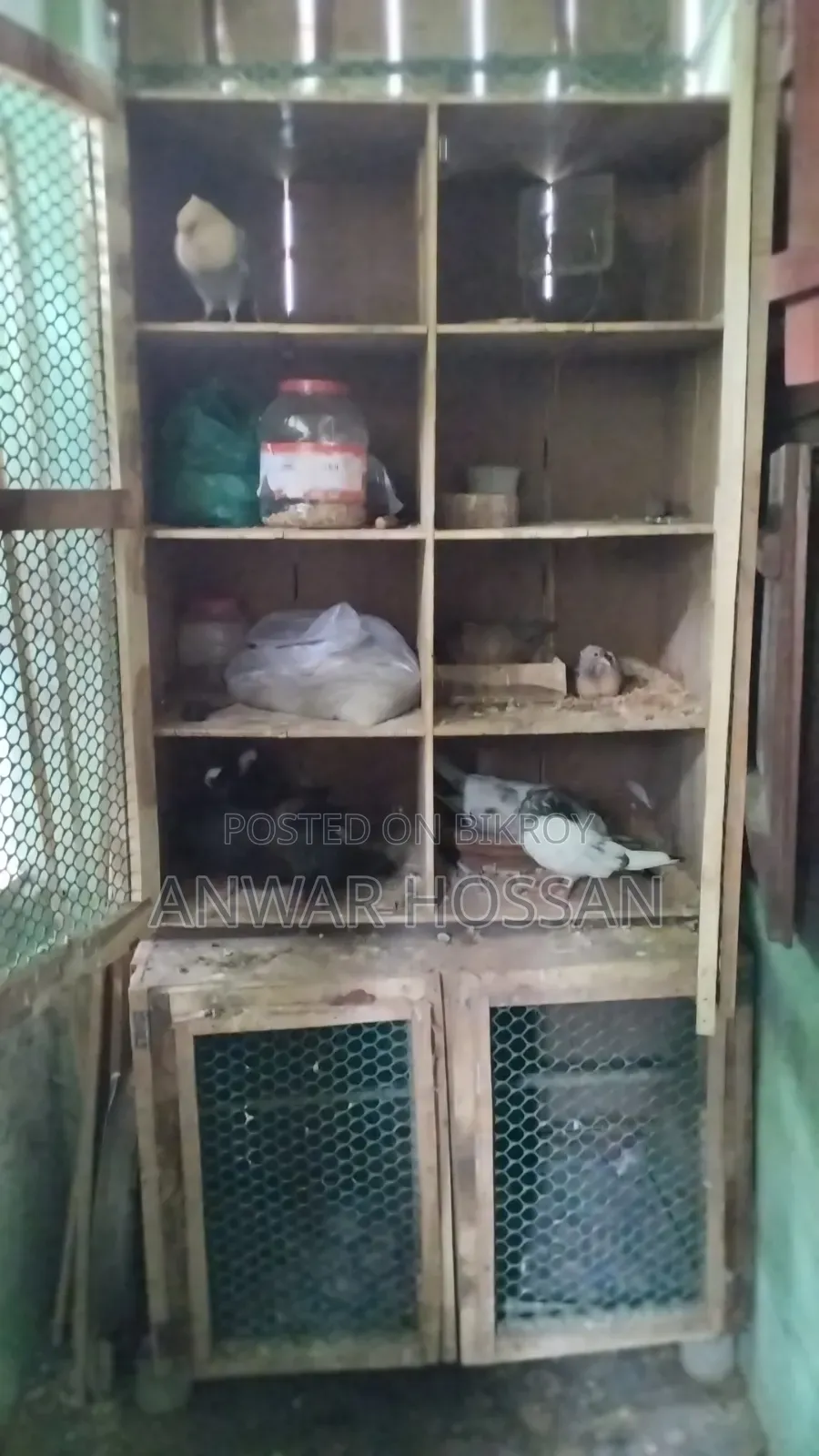 ৮ আট খোপের কাঠের কবুতরের ঘর একটি ধাত্রী সহ ৯ পিস কবুতর সহ বিক্রি হবে