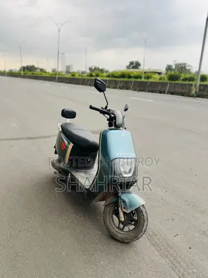 Tailg 2025