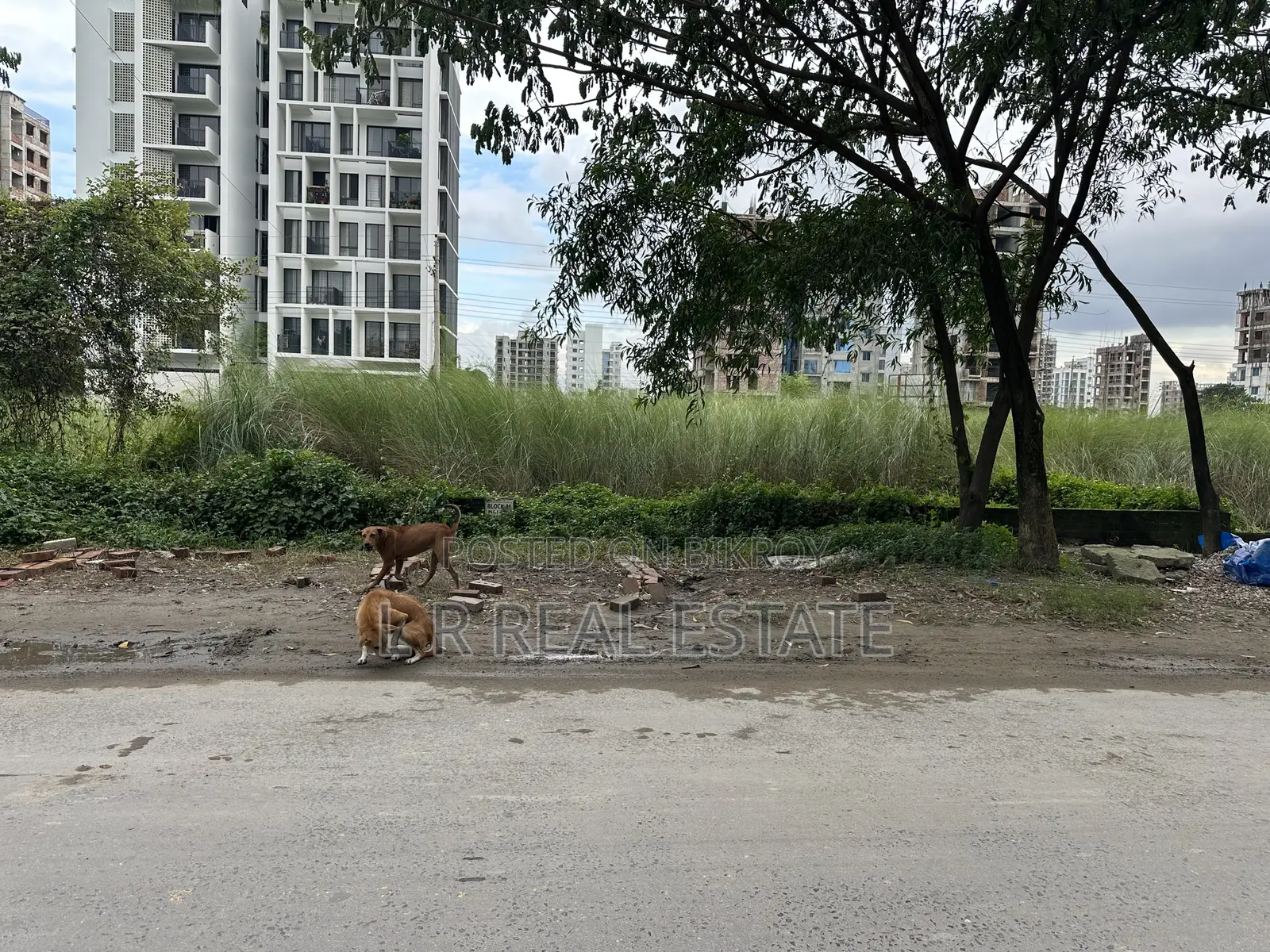 M Block, 4 Katha, Front 40 Feet Wide Road, Bashundhara R/A