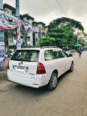 Toyota Corolla Fielder 2004 White