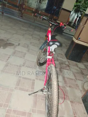 বাই সাইকেল