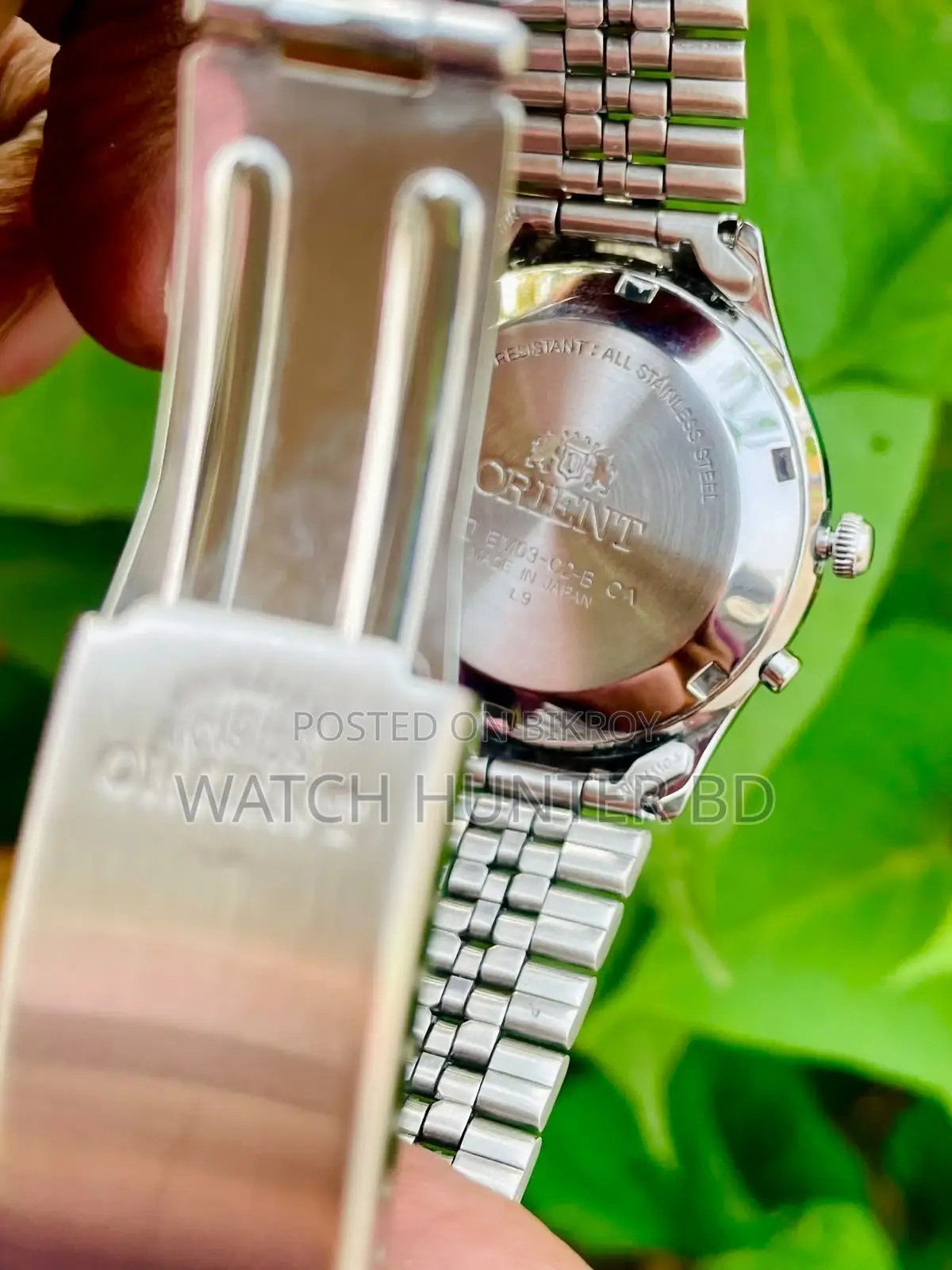 Gorgeous ORIENT Sunburst Gray Automatic Watch