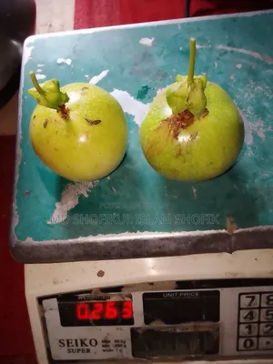 Various fruit saplings