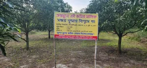 Land Share Sale Going On