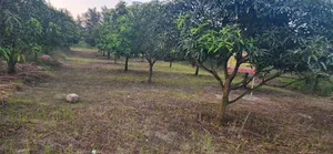 Land Share Sale Going On