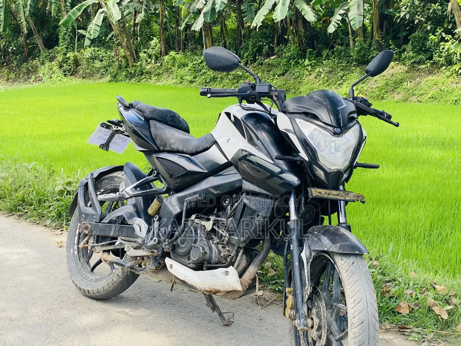 Bajaj Pulsar NS 160 2018 White