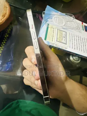 অ্যাপল আইফোন ১৩ প্রো ২৫৬ জিবি সাদা