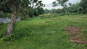 35 Satak Land for Sale at 85 Thousand Taka per Satak