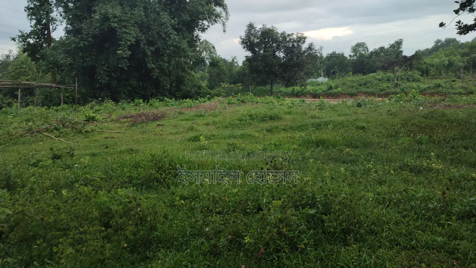 35 Satak Land for Sale at 85 Thousand Taka per Satak