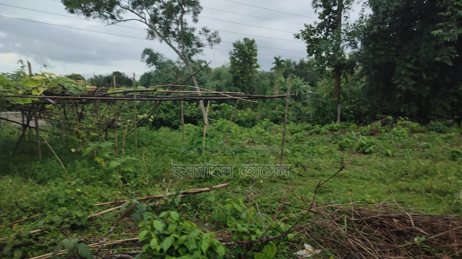 35 Satak Land for Sale at 85 Thousand Taka per Satak