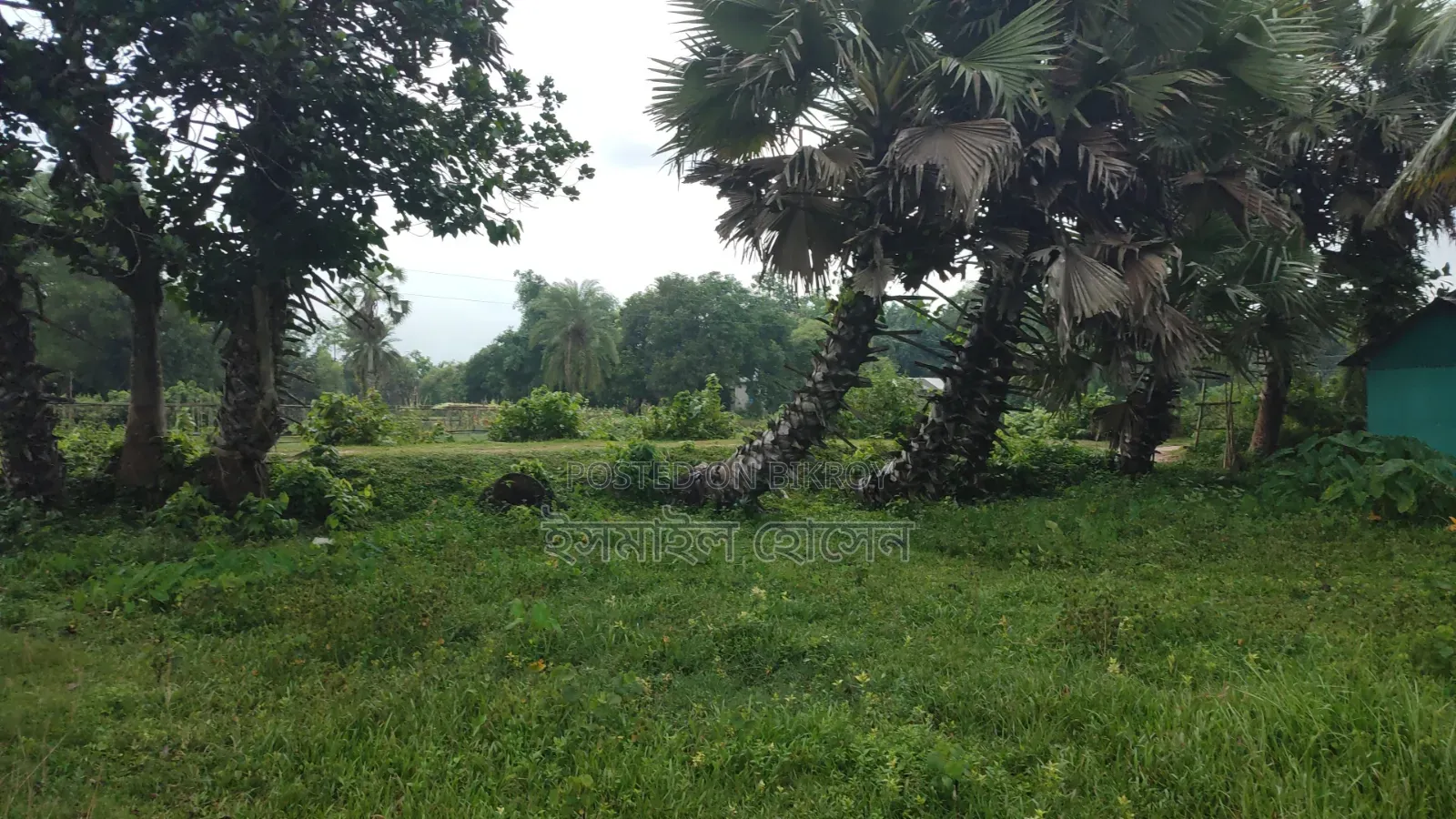 35 Satak Land for Sale at 85 Thousand Taka per Satak
