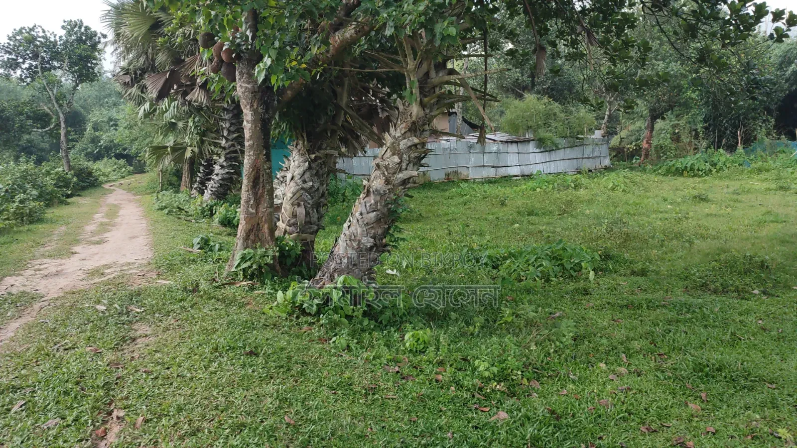 35 Satak Land for Sale at 85 Thousand Taka per Satak