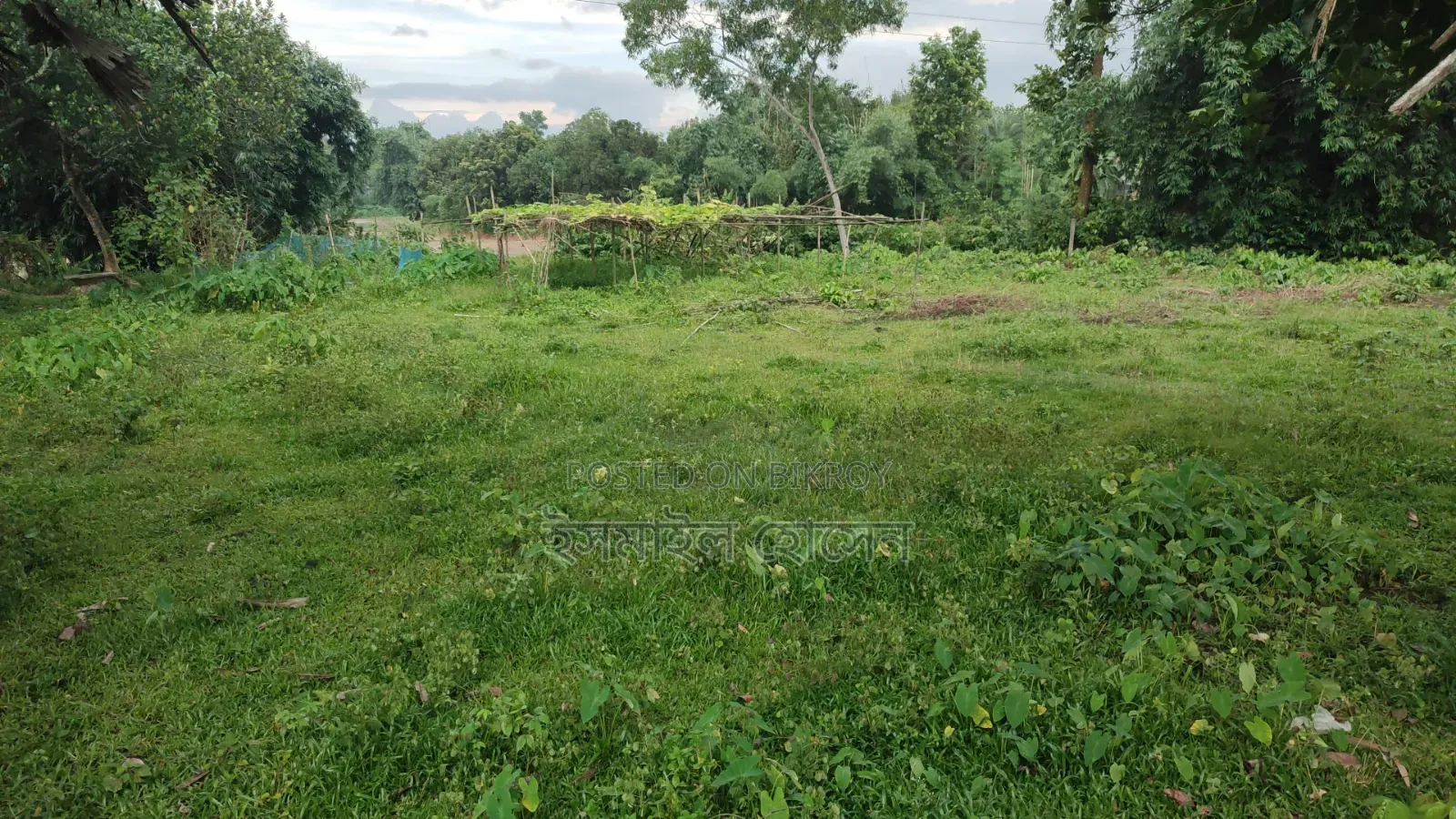35 Satak Land for Sale at 85 Thousand Taka per Satak