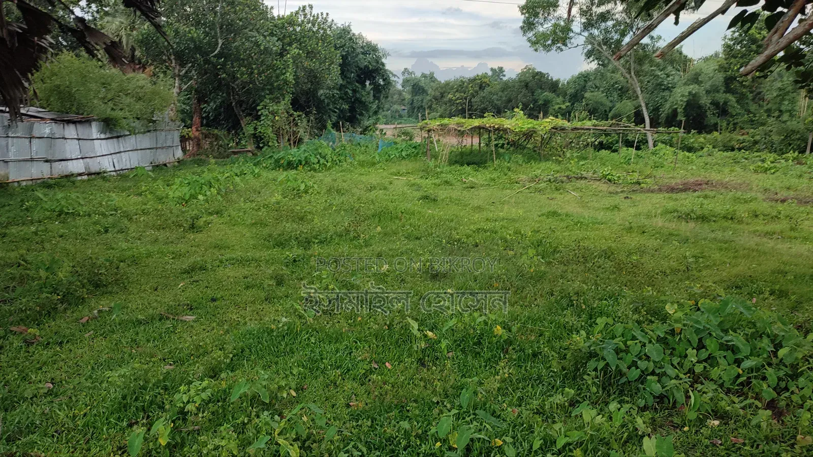 35 Satak Land for Sale at 85 Thousand Taka per Satak