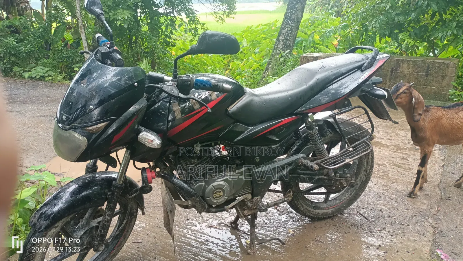 বাজাজ পালসার ১৫০ ২০১৮ কালো