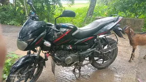 বাজাজ পালসার ১৫০ ২০১৮ কালো