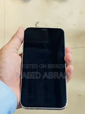 iPhone 12 Pro / Fresh Condition
