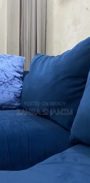 Luxurious Sofa