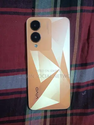 Vivo Y17 128 GB Orange