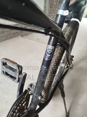 বাই সাইকেল