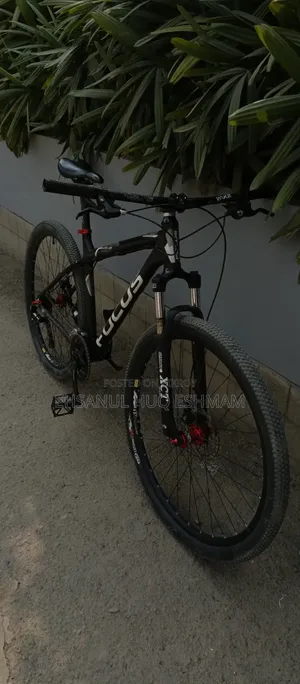 ফোকাস হুইসলার ২৯আর