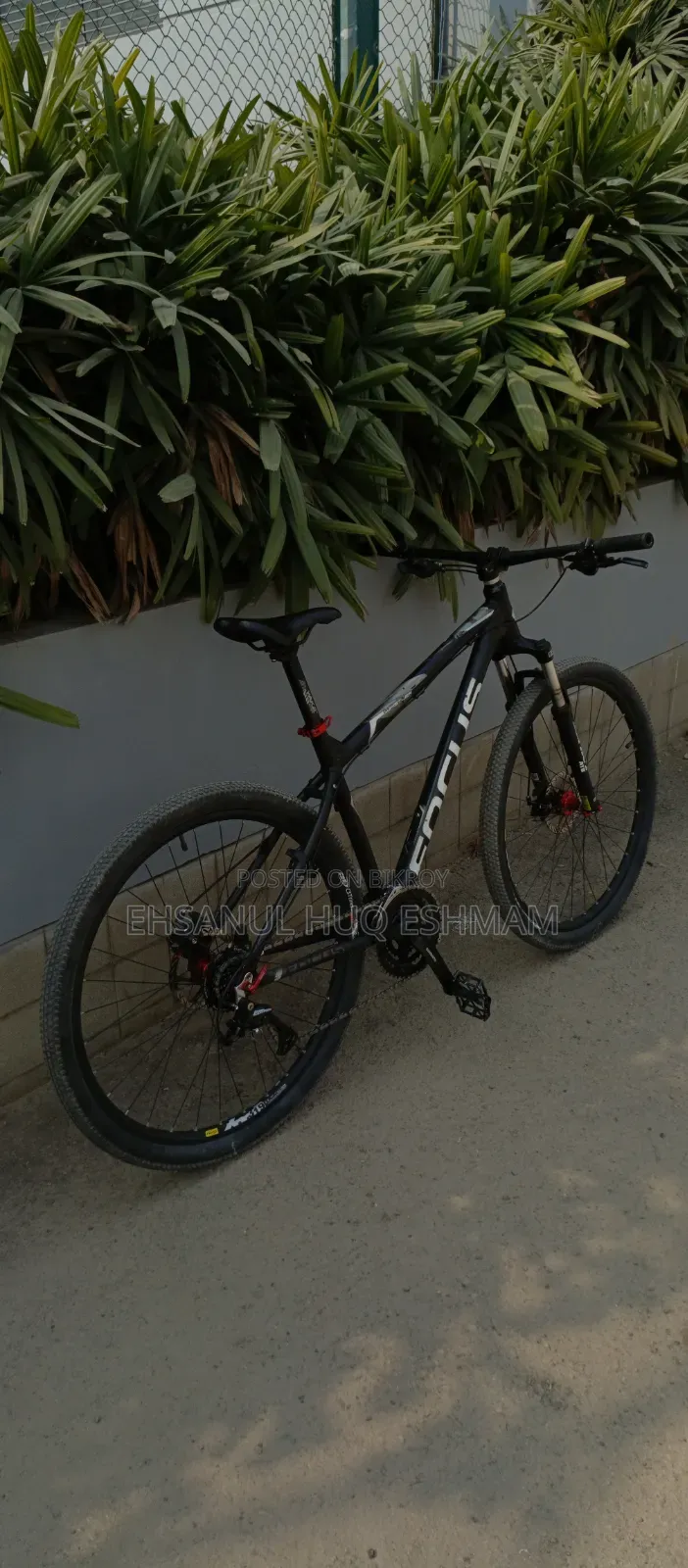 ফোকাস হুইসলার ২৯আর