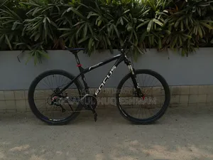 ফোকাস হুইসলার ২৯আর