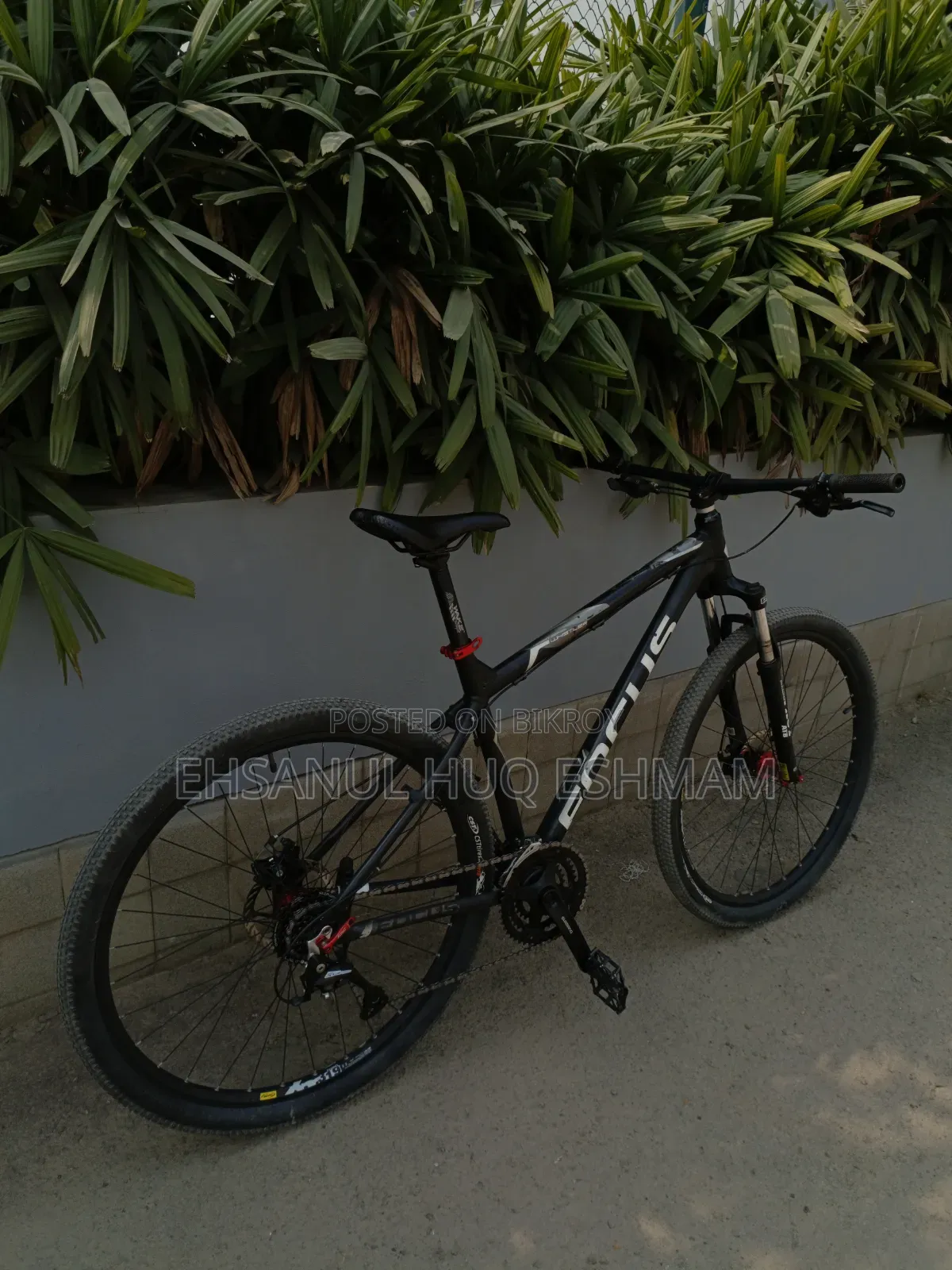 ফোকাস হুইসলার ২৯আর