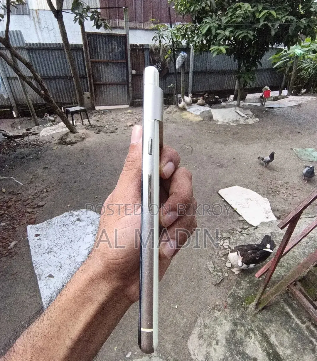 Google Pixel 7 256 GB White