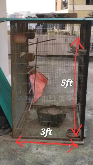 Birdcage for Sale