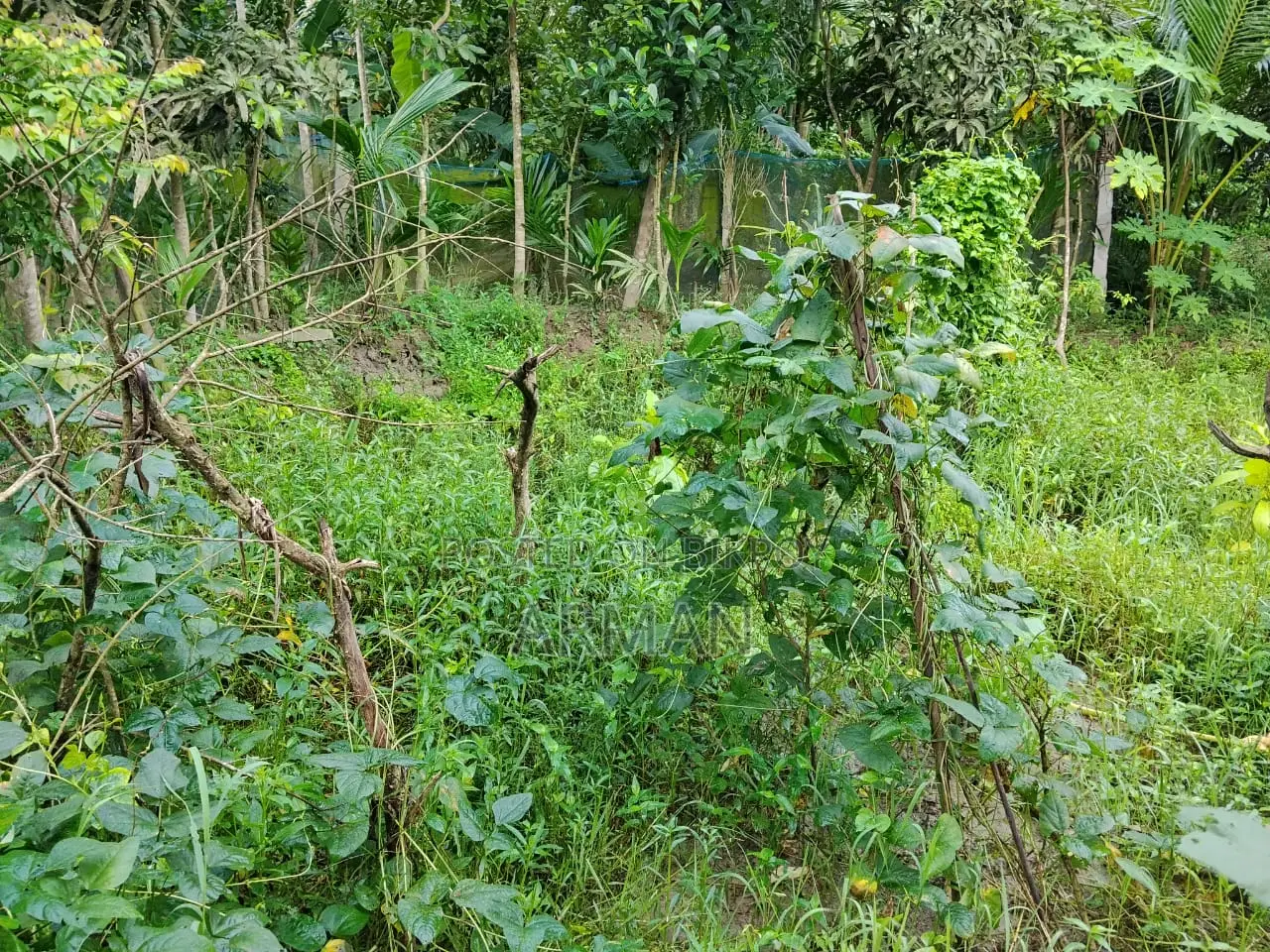 Land for sale
