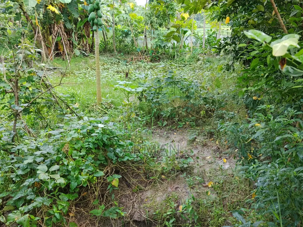 Land for sale