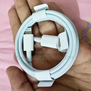 Apple iPhone iPad Charger