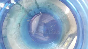 Mix Guppy Fish
