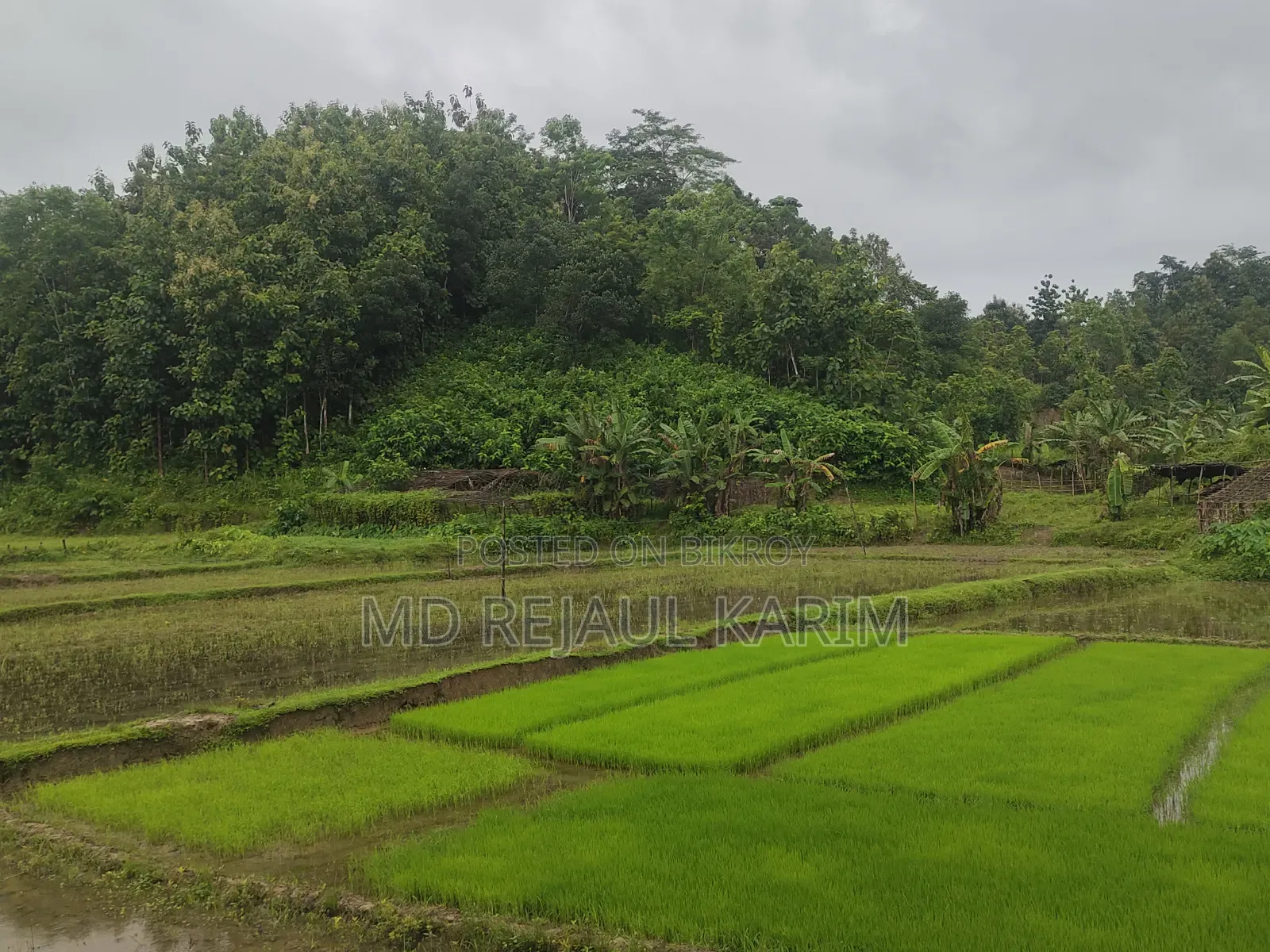 Agricultural Land for Sale
