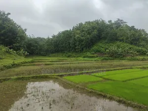 Agricultural Land for Sale