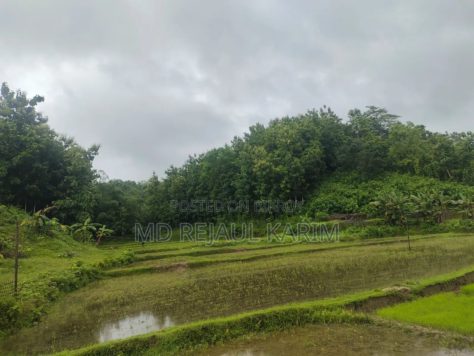Agricultural Land for Sale