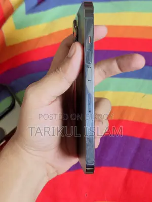 অ্যাপল আইফোন ১৩ প্রো ২৫৬ জিবি গ্রে