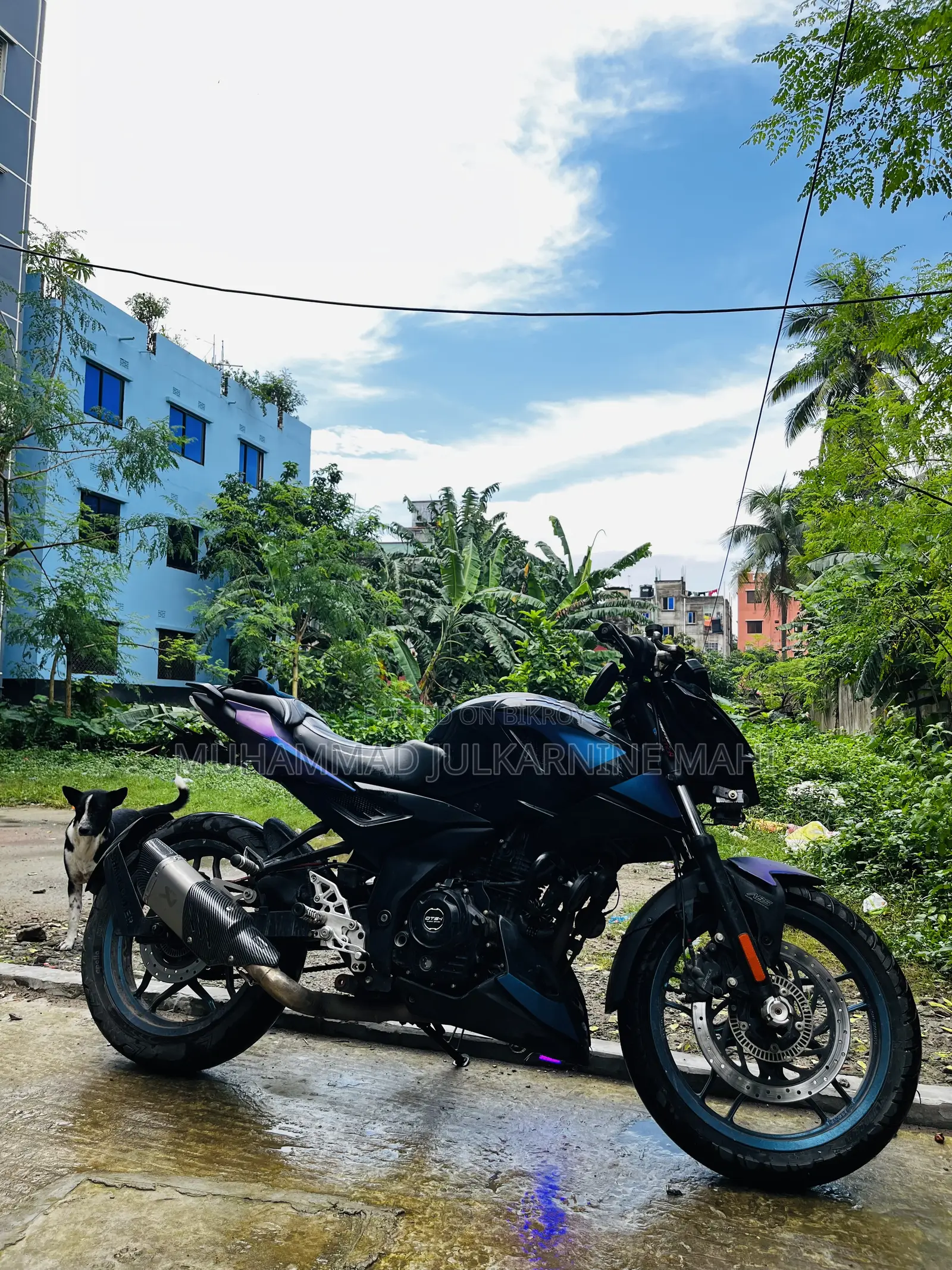 Bajaj Pulsar N160 2023 Purple