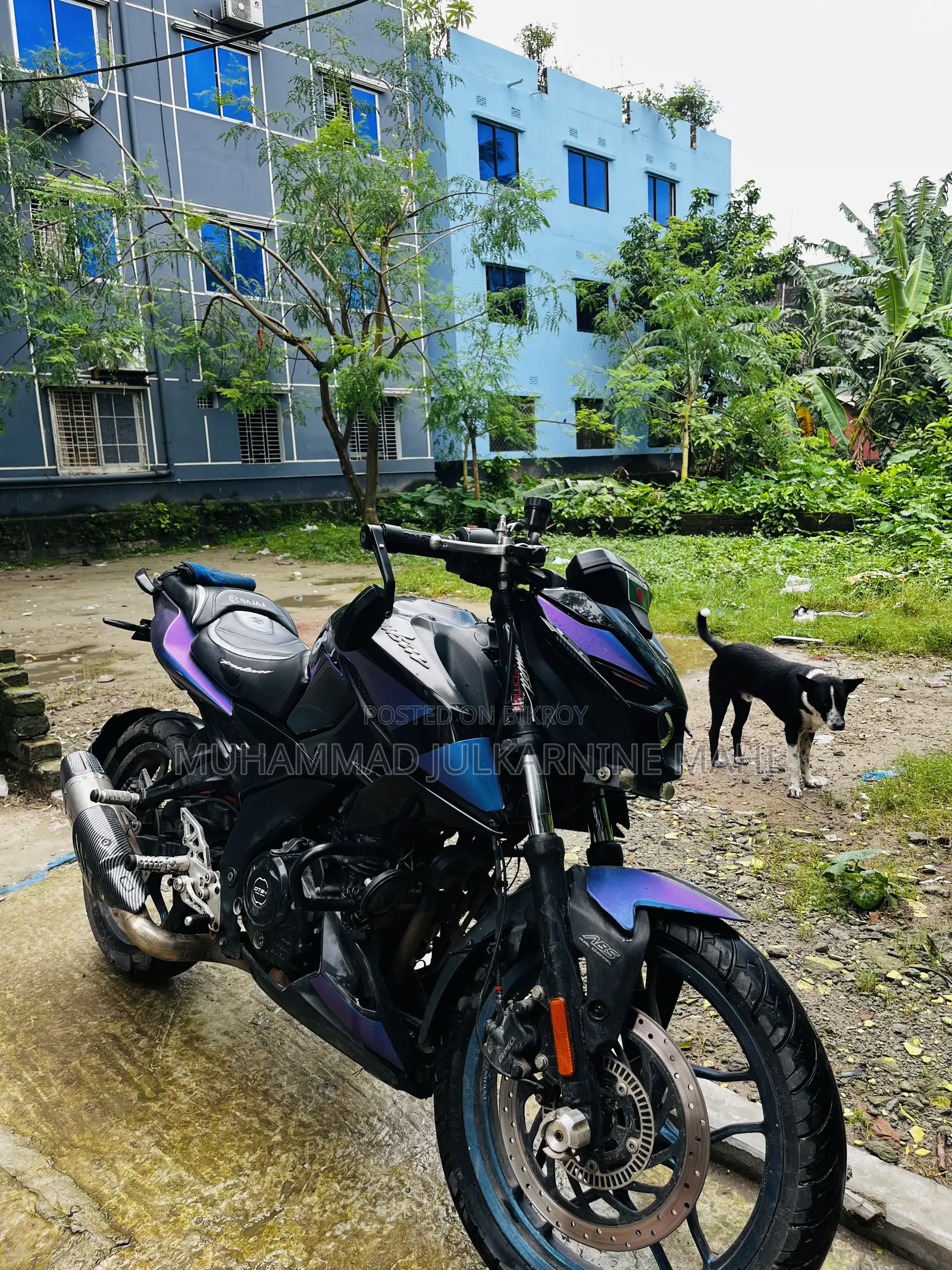 Bajaj Pulsar N160 2023 Purple
