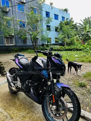 Bajaj Pulsar N160 2023 Purple
