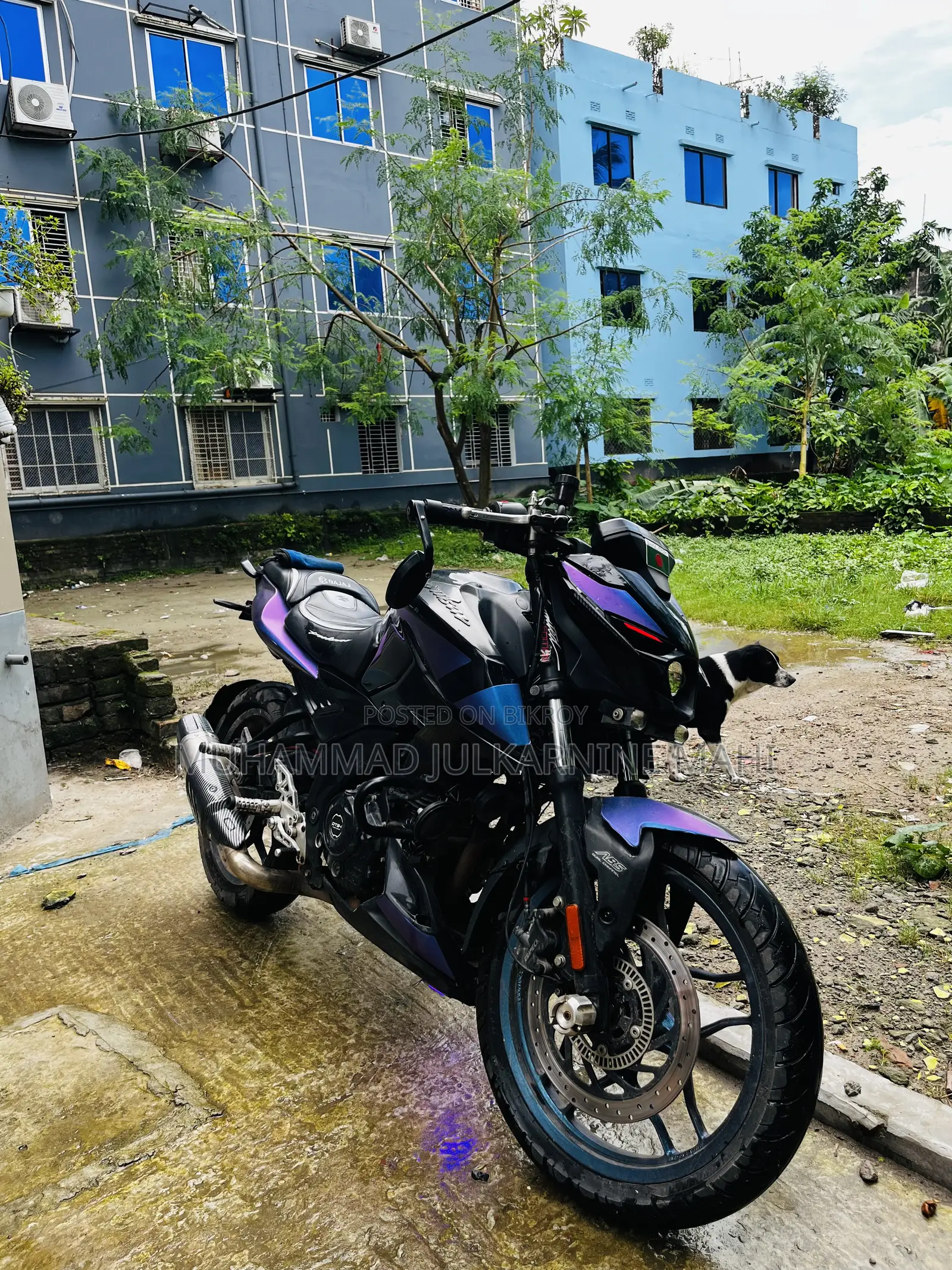 Bajaj Pulsar N160 2023 Purple