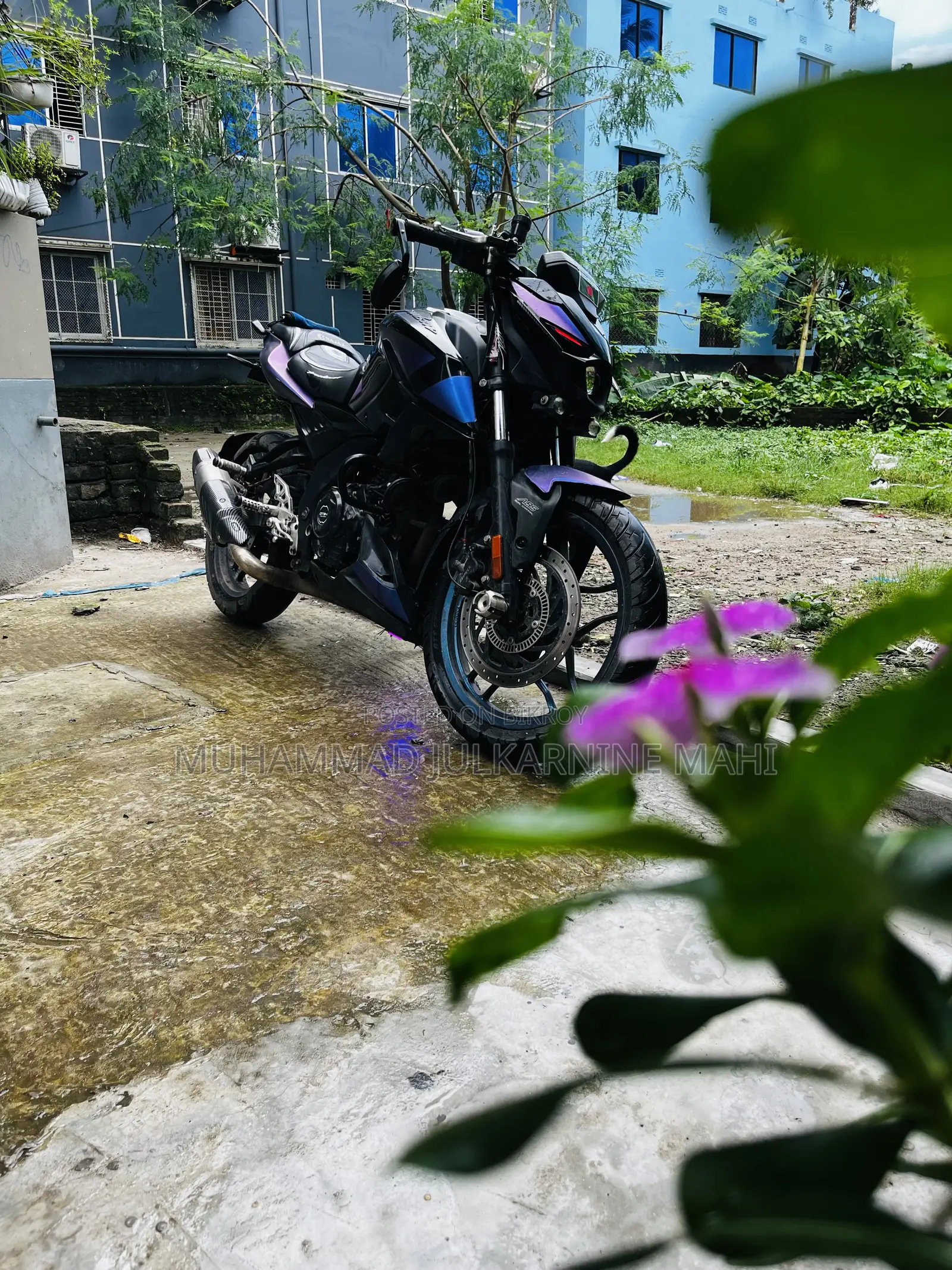 Bajaj Pulsar N160 2023 Purple