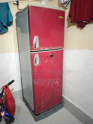Singer 12 Ct