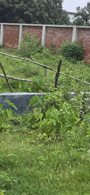 Uttara 3rd Phase 3 Katha Allotted Plot
