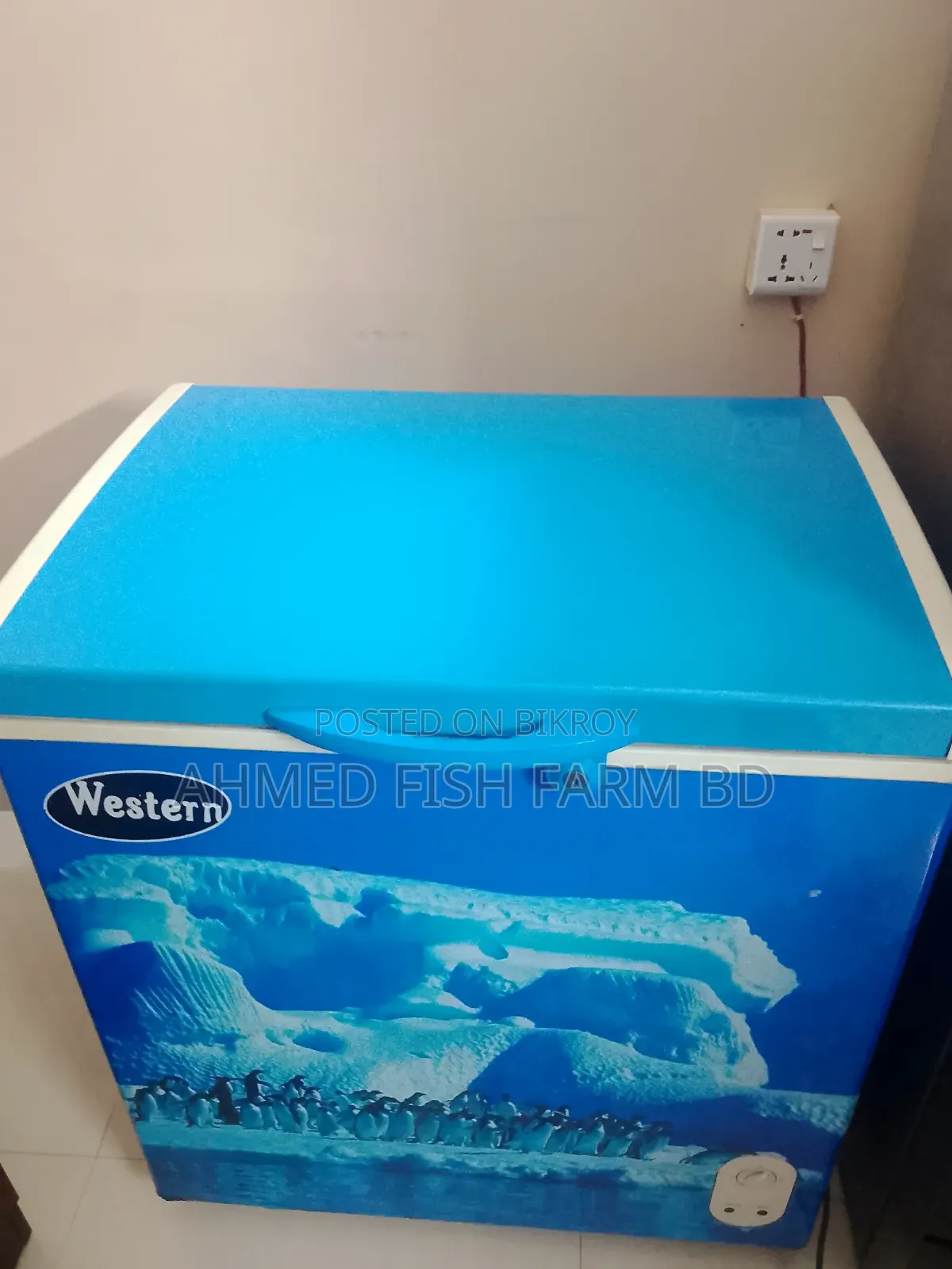 Deep Freeze Western Good Condition